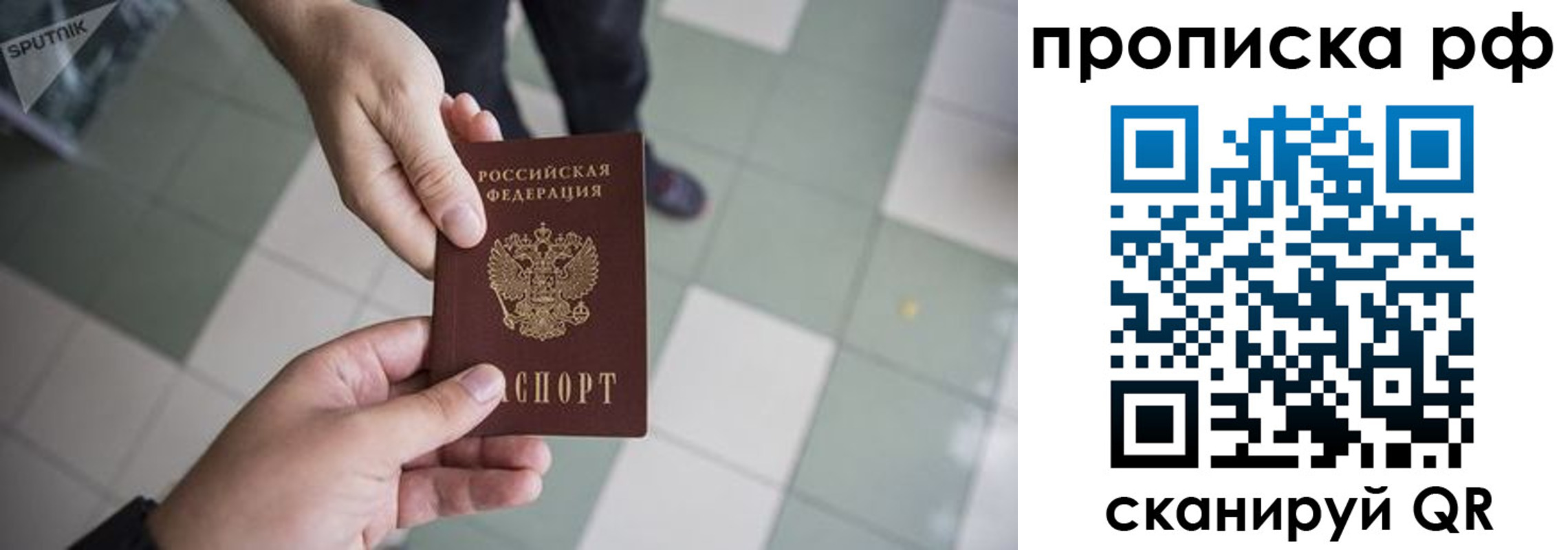 прописка гарантия в Гаврилов-Яме